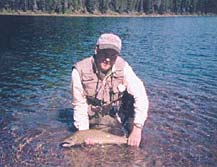 Westslope cutthroat trout in clear water