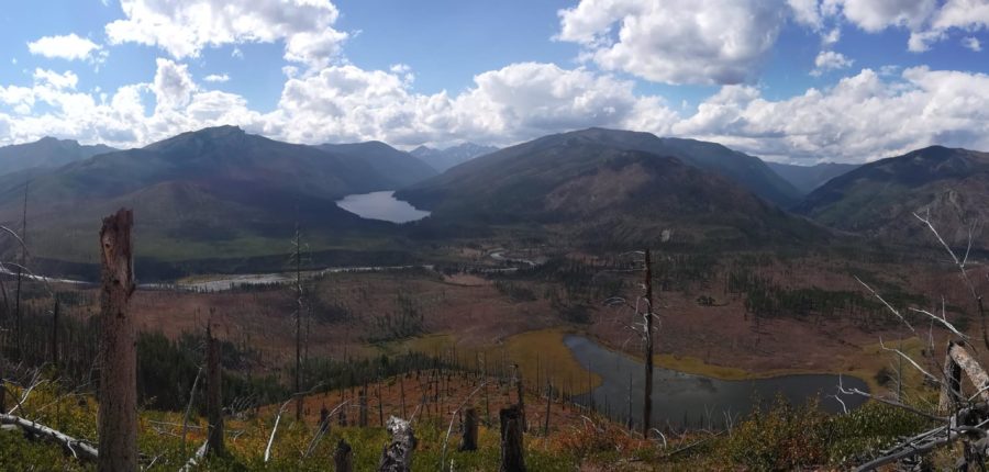Panoramic view of the Bob Marshall Wilderness mountain ridges and pine forests where Salmon Forks Outfitters operates